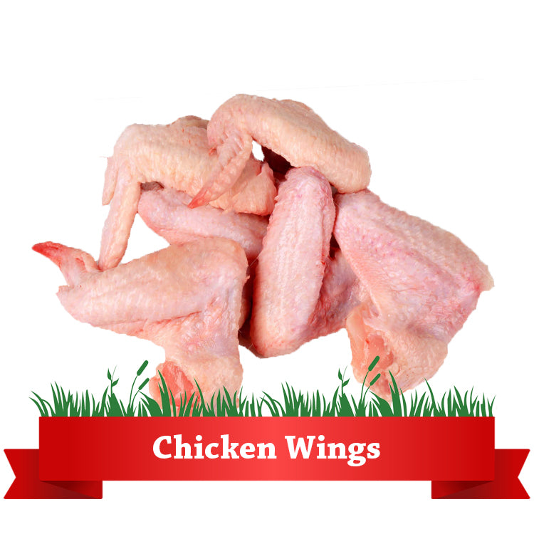 Chicken Wings_IMG